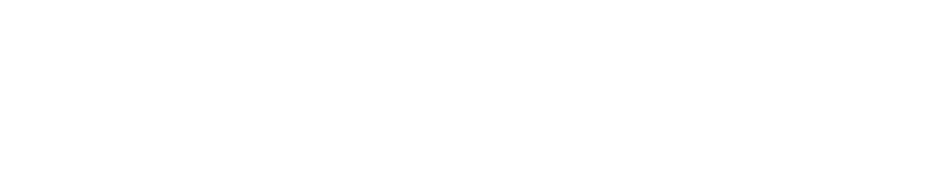 중고차 중계 플랫폼